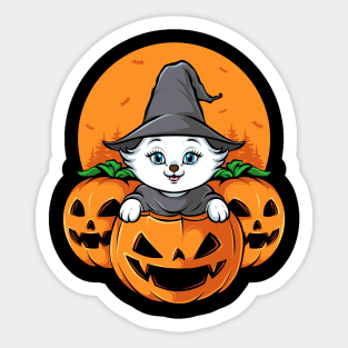 pumpkins head with cute cat halloween Sticker